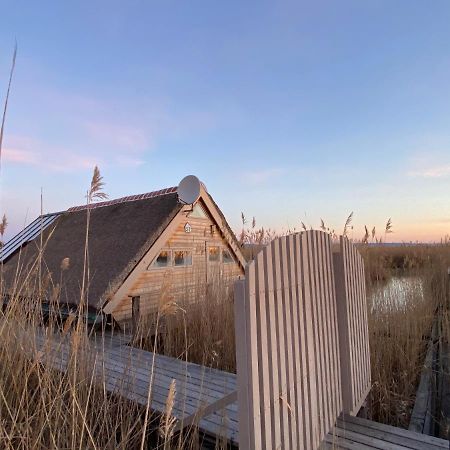 Seehuette Neusiedlersee - Pfahlbau Waterfront 1 رست المظهر الخارجي الصورة