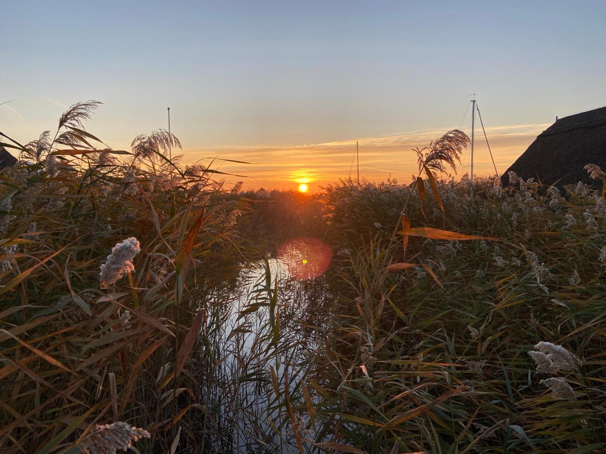 Seehuette Neusiedlersee - Pfahlbau Waterfront 1 رست المظهر الخارجي الصورة